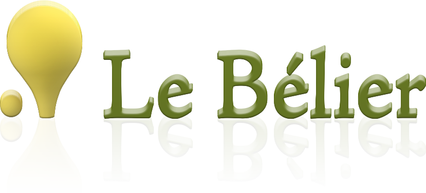 关于Le Bélier SA(百炼集团)